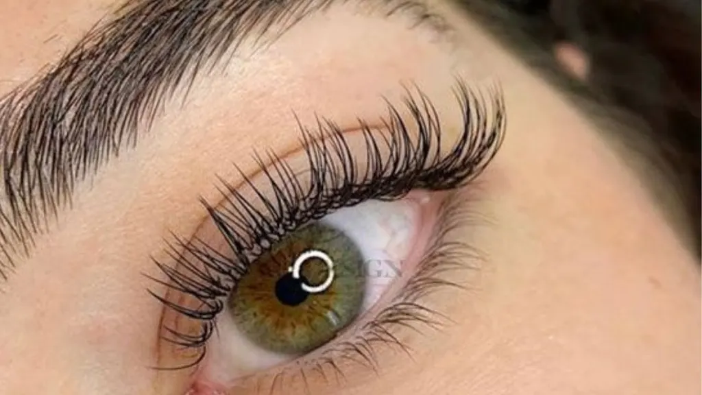 Celebrity Lashes & Makeup — Beauty salon in Greenacres